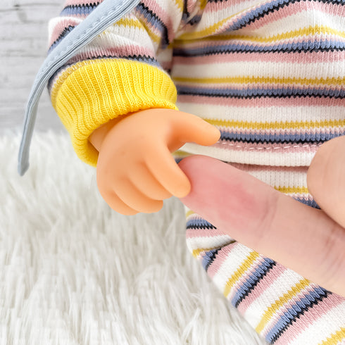 ポメア カナリア