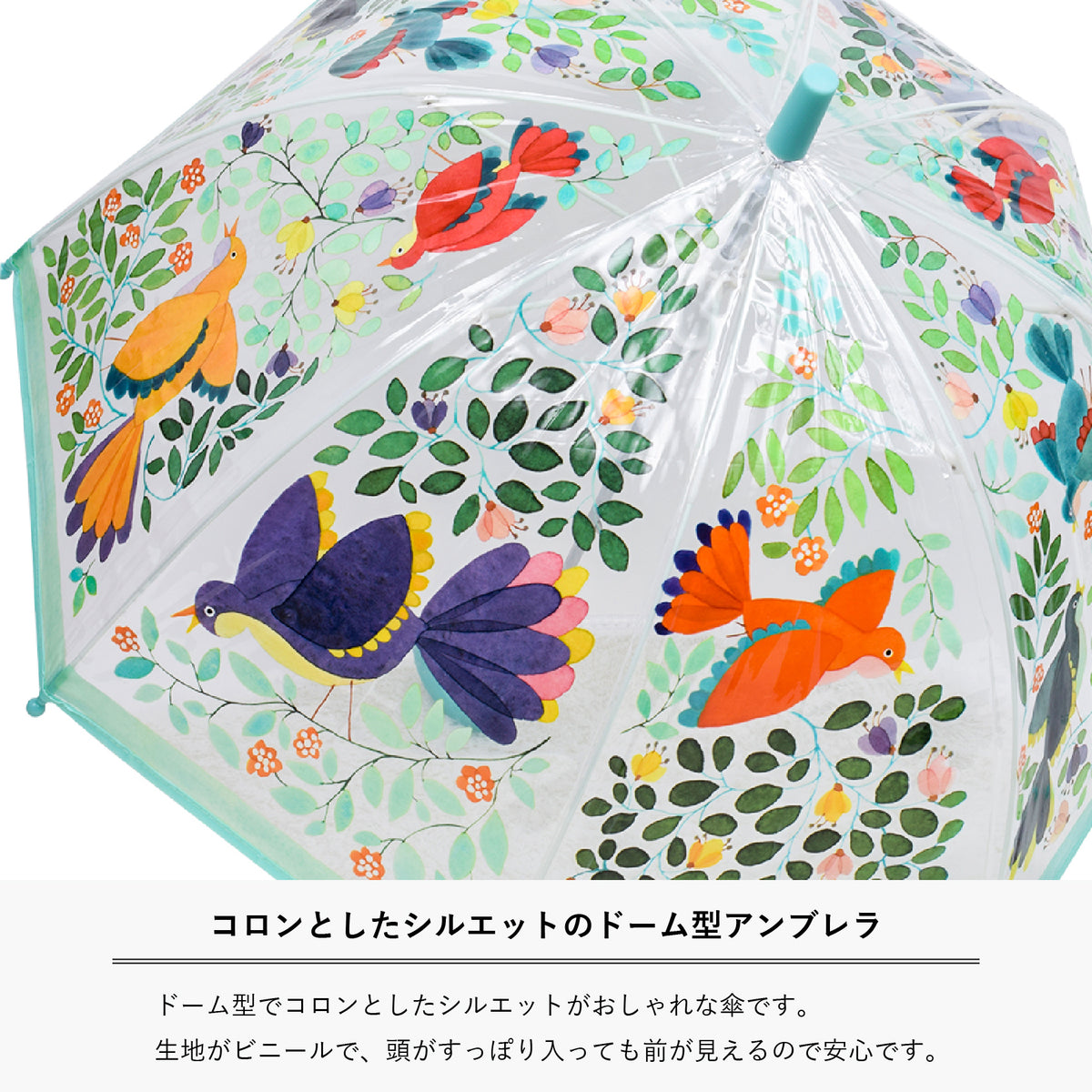 テゴマス NEWS 非売品 傘 アンブレラ テゴマス NEWS 非売品 傘 アンブレラ 楽天市場】【最大100